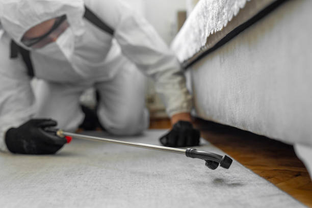 Professional Cockroach Control technician working in Ponder, TX