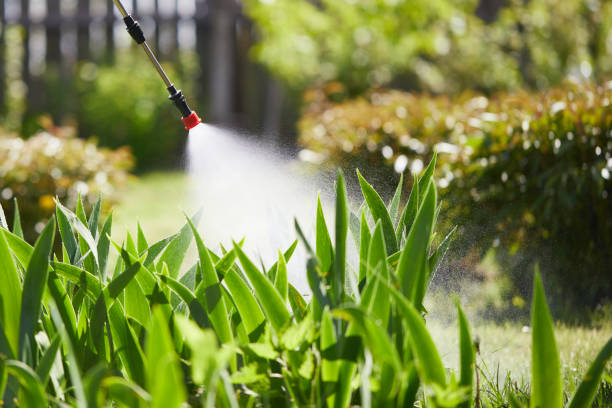 24/7 Emergency Cockroach Control experts in Ponder, TX